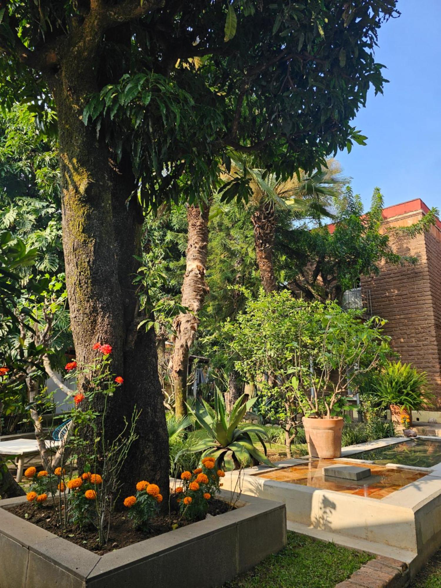 Casa Limon Malinalco Hotel Екстериор снимка